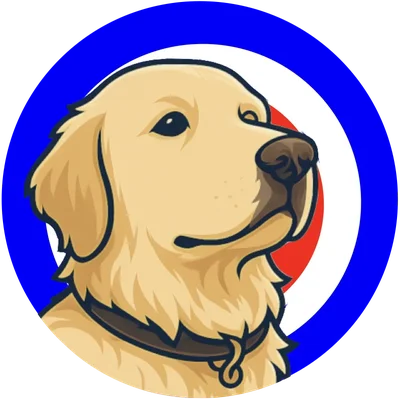 Theo - Office Dog bei nextshore