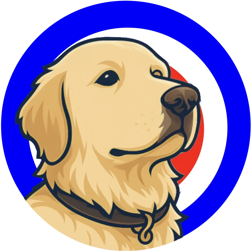 Theo – Office Dog bei nextshore